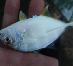 小物ばかり(>_<)