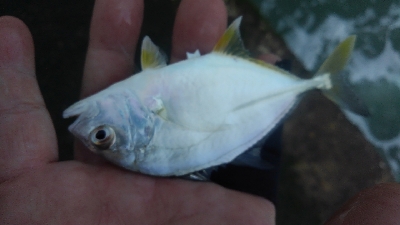 小物ばかり(>_<)