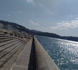 10/6釣果タチウオサンバソウ