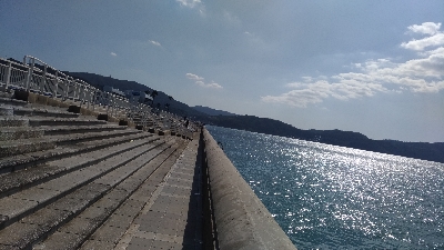 10/6釣果タチウオサンバソウ