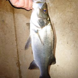 寒い釣行でした