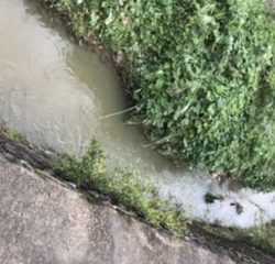 10分フィッシング