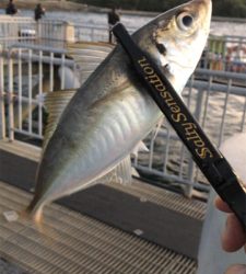 開始から11時間後に!!