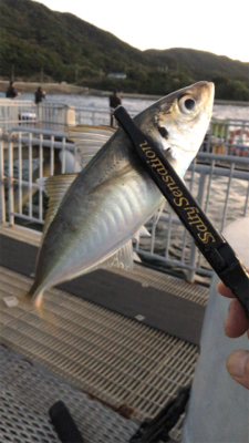 開始から11時間後に!!