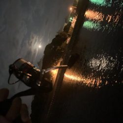 河口ライトゲーム！リフト&フォールで攻略！