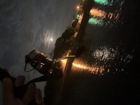 河口ライトゲーム！リフト&フォールで攻略！