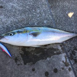 全部が美味いやつ!3目達成