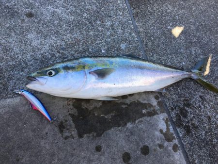 全部が美味いやつ!3目達成