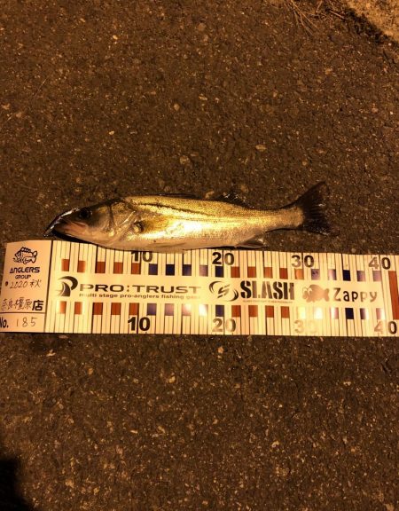 ナイトゲーム秋！