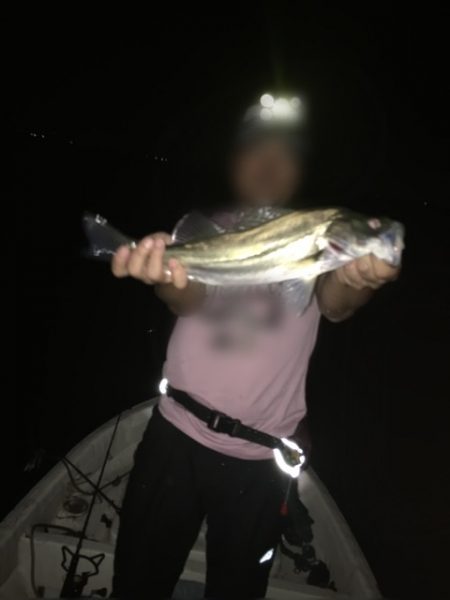 シーバスandマゴチ祭り