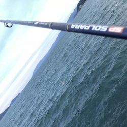 大潮チャレンジ