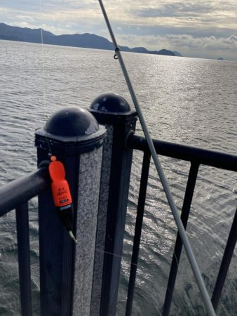 ハマチ66センチ