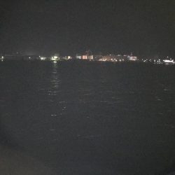 タチウオはいずこへ