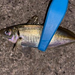 ボトムアジング