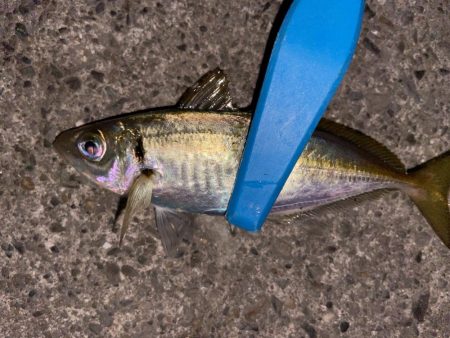 ボトムアジング