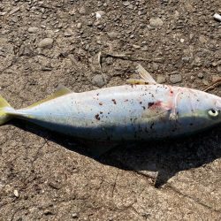 私が何処にいてるかわかるかな?