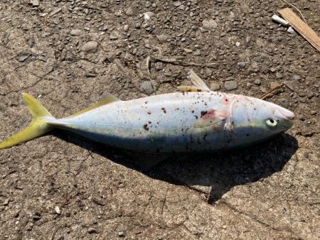 私が何処にいてるかわかるかな?