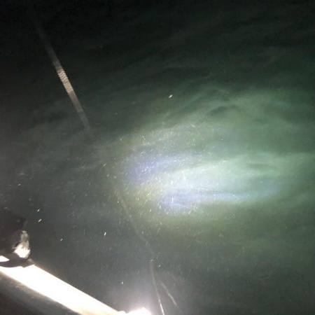 バチコンからのジギング