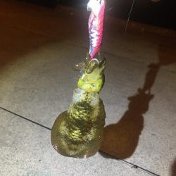 なんとかボウズのがれ