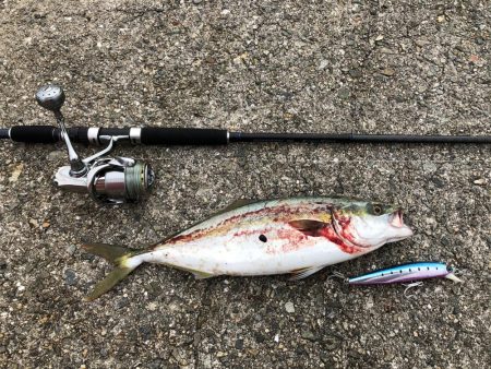 ショアジギング