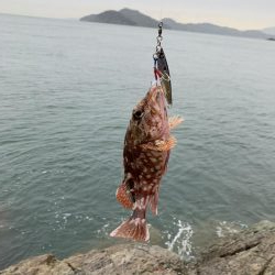 2週続けて高級魚