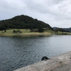 イカダエギング