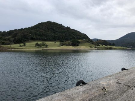 イカダエギング