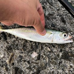 可動橋を眺めながら