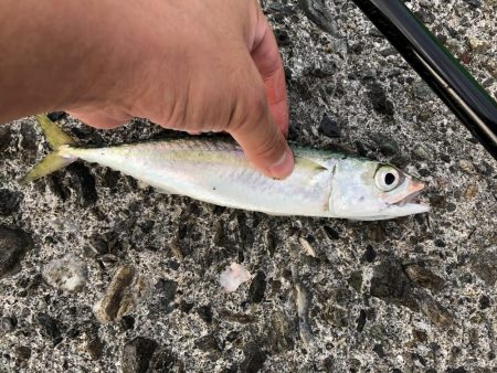 可動橋を眺めながら