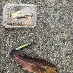 5目つり、カワハギ、コブの子