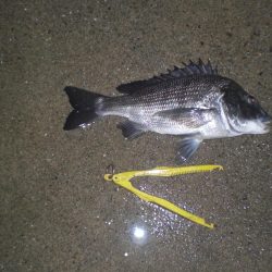 家族で五目釣り