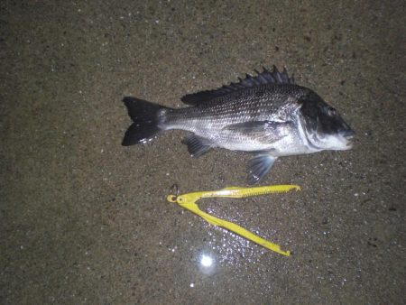 家族で五目釣り