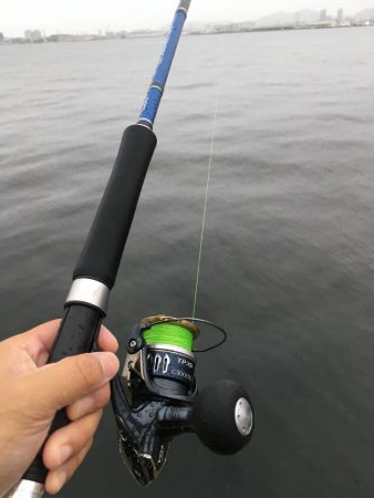 雨の中執念のサゴシ