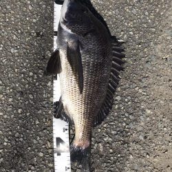 イチノ兄弟、釣果！