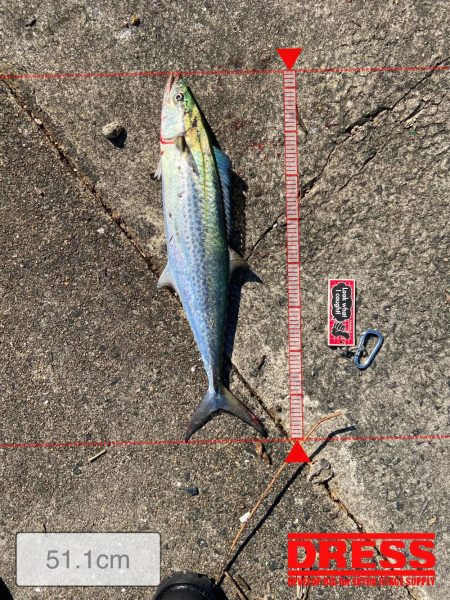 メジロおかわり！