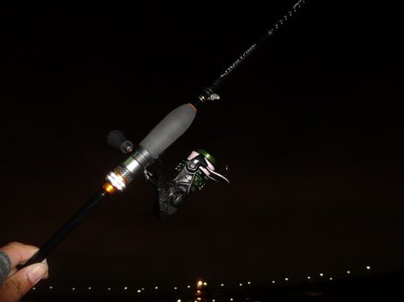 南港の太刀魚は何処へ～？