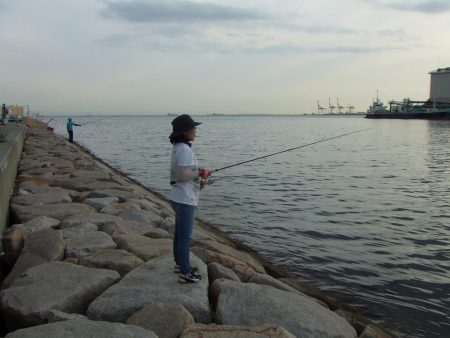 南芦屋浜 今期初サヨリ