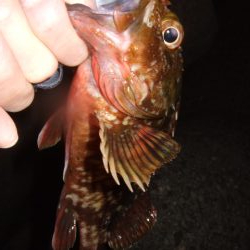 狙ってない時に限って