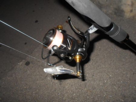 ちょこっとシーバス。