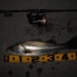 取りこぼしばっかり…。