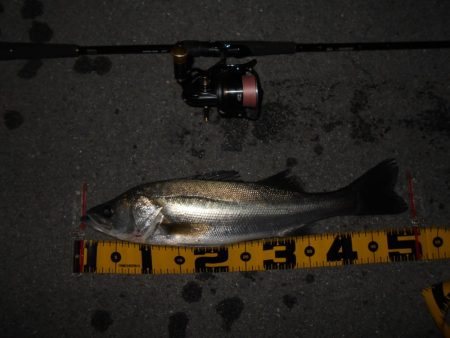 取りこぼしばっかり…。