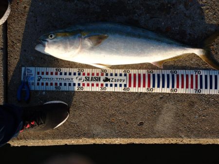 トップゲーム！！