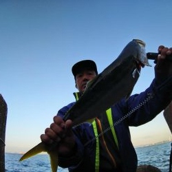 朝一ワンチャン狙い