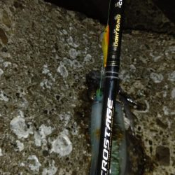 TEAMゲッソー調査隊