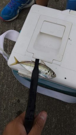 ファミリーフィッシング