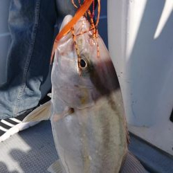 キャスティング・ジギング