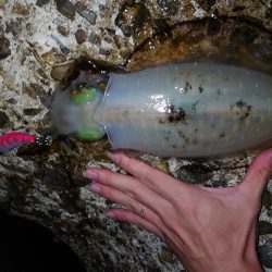 そろそろ終盤戦か