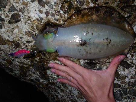 そろそろ終盤戦か