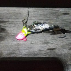 タチウオ2 サバ2