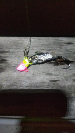 タチウオ2 サバ2